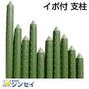 個人宅配送OK シンセイ イボ付き 園芸支柱 イボ支柱 20mm X 2400mm (50本入) 240cm 内キャップ式 農業資材 園芸用品 家庭菜園 イボ竹