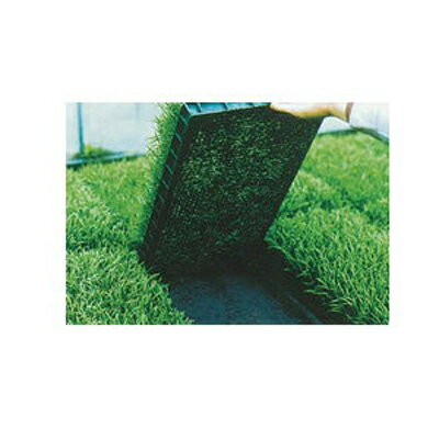 ユニチカ 水稲育苗箱 置床用 不織布 ラブシート ブラック 235cm×50m 5本入 20307BKD