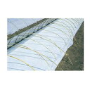 ユニチカ 水稲育苗用 不織布 ラブシート 300cm×100m 20307WTD