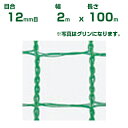 ダイオ化成 防鳥・防獣ネット ダイオネット 1212 黒 12mm目 2m×100m (防風網)(農業用)(農業資材)(農園)(園芸)(家庭菜園)(代引不可)