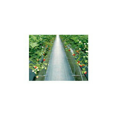 ダイオ化成 防草シート 1m ブラック 黒 グランドシート （抗菌剤入） 100cm X 100m 農業資材 園芸用品 家庭菜園 メガソーラー 太陽光発電