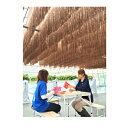 ダイオ化成 懸垂型 遮光資材 ブラウン ダイオフララ オーロラ 60cm X 50m (代引不可) (農業資材 人工ほだ場 ホダ場 きのこ 椎茸 原木 幼稚園 保育園 砂場 プール 公園 休憩所 観光農園 商業施設 熱中症 庭 サンシェード 日よけ)
