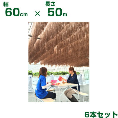 ダイオ化成 懸垂型 遮光資材 ブラウン ダイオフララ オーロラ 60cm X 50m 6本 (代引不可) (農業資材 人..
