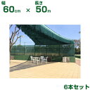 ダイオ化成 懸垂型 遮光資材 モスグリーン ダイオフララ オーロラ 60cm X 50m 6本 (代引不可) (農業資材 人工ほだ場 ホダ場 きのこ 椎茸 原木...