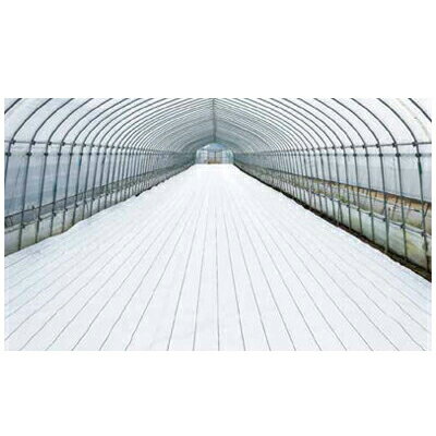 ダイオ化成 防草シート 0.75m グランドシート α オフホワイト 白 75cm X 100m （抗菌剤無） 6本 農業資材 反射 太陽光 両面パネル 畝間 ハウス内通路