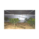 岩谷 イワタニ 三層シルバーポリ 保温用 0.05mm×180cm×100m 2本入