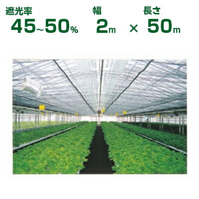 ダイオ化成 遮光ネット 黒 ダイオネット 610 遮光率45〜50% 2m×50m (代引不可) (農業用 植物 畑 庭 育苗 植木 園芸 遮熱 サンシェード トンネル 茄子 人参 ネギ ハウス 日よけ ミニトマト みょうが メロン 野菜 蘭 レタス 露地 牛舎 椎茸 原木 200cm)