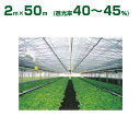 ダイオ化成 遮光ネット シルバーグレイ ダイオネット 610SG（遮光率40～45%） 2m×50m(農業用)(園芸用)(代引不可)