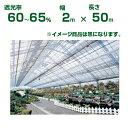 【追加送料について】 こちらの商品のお届け先に北海道、沖縄県、その他離島地域をご指定頂く場合、追加送料5,400円が必要となります。黒色 2m×100m 　 遮光率：50％～55% 2m×100m 　 遮光率：60％～65% 2m×100m 　 遮光率：70％～75% 2m×100m 　 遮光率：80％～85% 2m×100m 　 遮光率：85％～90% 2m×100m 　 遮光率：90％～95% 2m×100m 　 遮光率：95％～98% 2m×100m シルバーグレイ 2m×100m 　 遮光率：45％～50% 2m×100m 　 遮光率：55％～60% 2m×100m 　 遮光率：65％～70% 2m×100m 　 遮光率：75％～80% 2m×100m 　 遮光率：85％～90% 2m×100m 　 遮光率：93％～98% 2m×100m