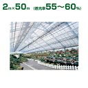 ダイオ化成 遮光ネット シルバーグレイ ダイオラッセル 1600SG（遮光率55～60%）2m×50m(農業用)(園芸用)(代引不可)