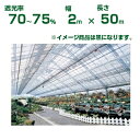 ダイオ化成 遮光ネット 黒 ダイオラッセル 1700（遮光率70～75%）2m×50m(農業用)(園芸用)(代引不可)