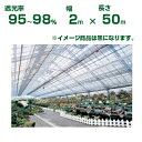 ダイオ化成 遮光ネット 黒 ダイオラッセル 2200（遮光率95～98%）2m×50m(農業用)(園芸用)(代引不可)