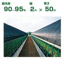 ダイオ化成 遮光ネット 黒 ダイオシート 14号 遮光率90~95% 2m×50m (代引不可) (農業用 植物 畑 庭 育苗 植木 園芸 遮熱 サンシェード トンネル 茄子 人参 ネギ ハウス 日よけ ミニトマト みょうが メロン 野菜 蘭 レタス 露地 牛舎 椎茸 原木 200cm)