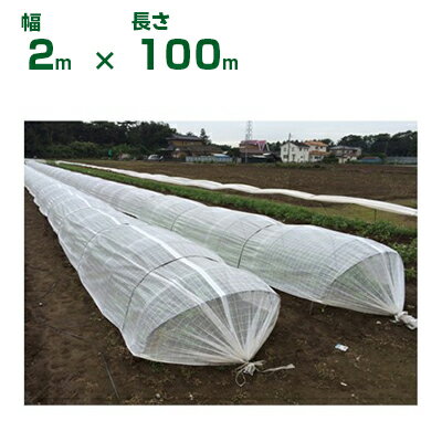 ダイオ化成 ダイオネット 白天 DS30 2mx100m べた掛け トンネル遮光ネット(農業用)(園芸用)
