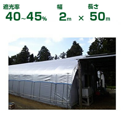 ダイオ化成 遮光ネット シルバー×黒 ダイオミラー 40HB-6 遮光率40〜45% 2m×50m (代引不可) (農業用 植物 畑 庭 育苗 植木 園芸 遮熱 サンシェード トンネル 茄子 人参 ネギ ハウス 日よけ ミニトマト みょうが メロン 野菜 蘭 レタス 露地 牛舎 椎茸 原木 200cm)
