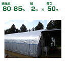 ダイオ化成 遮光ネット シルバー×黒 ダイオミラー 80HB-6 遮光率80~85% 2m×50m (代引不可) (農業用 植物 畑 庭 育苗 植木 園芸 遮熱 サンシェード トンネル 茄子 人参 ネギ ハウス 日よけ ミニトマト みょうが メロン 野菜 蘭 レタス 露地 牛舎 椎茸 原木 200cm)