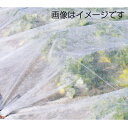 三菱ケミカルアグリドリーム 不織布 4本入 パオパオM-6 120cm X 200m 育苗 パオパオ90よりも目付けが多く厚い 保温 保湿 MKVアドバンス 1...