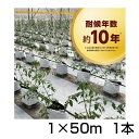 防草シート 1m 1本 耐候年数約10年 日本マタイ 強力 防草クロスシート PRO 1m X 50m (HC10665) クラウディホワイト （少し灰色） 白色 反射 太陽光 両面パネル 畝間 ハウス内通路