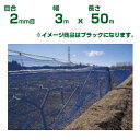 【個人宅配送OK】日本ワイドクロス 防風ネット ワイドラッセル防風網 BK200 黒 目合2mm目 3m×50m(農業用 家庭菜園 畑 ハウス 農業資材 農園 ...