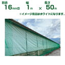 【個人宅配送OK】日本ワイドクロス アニマルネット N16 ホワイト 16mm目 1m×50m (農業用)(園芸用)(防獣ネット)(農業資材)(家庭菜園)(農園...