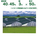 【個人宅配送可能】日本ワイドクロス 遮光ネット ワイドスクリーン S1206 シルバー 遮光率40～45% 3m×50m (農業用)(園芸用)(農業資材)(家庭菜園)(ベランダ)(日除け)(300cm)