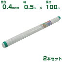 【個人宅配送OK】シンセイ 防虫ネット 目合0.4mm目 0.5m×100m 2本セット (農業用 園芸用 家庭菜園 農業資材 防虫網 虫除けネット トンネル ...