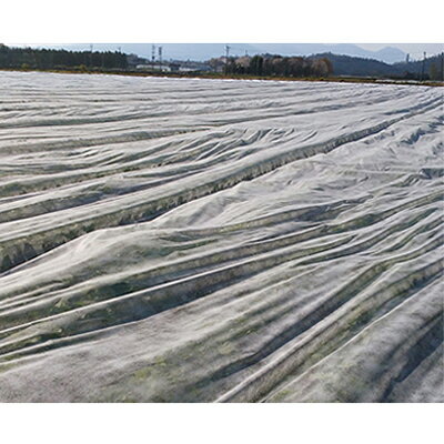 ユニチカ べたがけ用 不織布 T0173WHE パスライト羽衣 150cm×200m 5本入