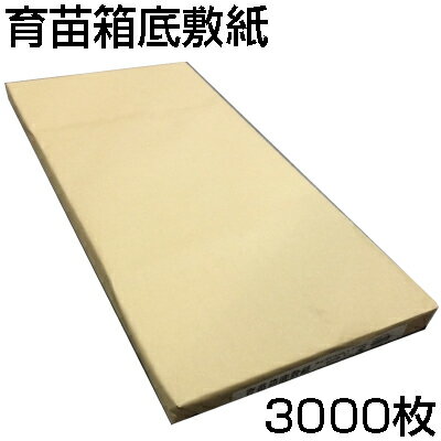 シンセイ 育苗箱用 敷紙 500枚入 275 X 575mm X 6個 (3000枚入) 下敷紙 下敷き紙 敷き紙 下敷シート 底敷紙 水稲 1