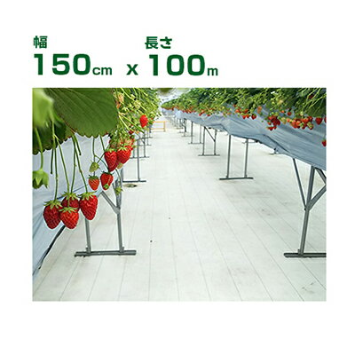 ĿOK 𥷡 1.5m  ȿ𥷡 󥷡 ԥ 150cm X 100m ȿΨ ¥ ̼¿ Ǯ ϲ徺  ȥޥ   ֥ɥ ̼
