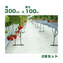 個人宅配送OK 防草シート 3m 小泉製麻 高反射防草シート ルンルンシート 白ピカ 300cm X 100m (タタミ) 2枚入 高反射率 光合成促進 果実色...