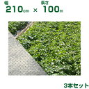 個人宅配送OK 小泉製麻 保温 不織布 2.1m BeBackシート 210cm X 100m 3本入 軽量 べたがけ 防霜 防風 防虫 防鳥 高強度