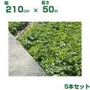 個人宅配送OK 小泉製麻 保温 不織布 2.1m BeBackシート 210cm X 50m 5本入 軽量 べたがけ 防霜 防風 防虫 防鳥 高強度