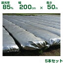 小泉製麻 アルミ蒸着 バロンスクリーン B&S 200cm X 50m 5本入 遮光率85%