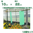 個人宅配送OK 小泉製麻 虫ペタッと粘着シート プラ製 10 X 22cm 青色 10枚/1袋 x12袋 アザミウマ類 施設微小害虫捕獲粘着板