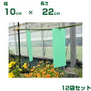 個人宅配送OK 小泉製麻 虫ペタッと粘着シート プラ製 10 X 22cm 緑色 10枚/1袋 x12袋 アブラムシ類 施設微小害虫捕獲粘着板