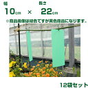 個人宅配送OK 小泉製麻 虫ペタッと粘着シート プラ製 10 X 22cm 黄色 10枚/1袋 x12袋 ハモグリバエ アザミウマ コナジラミ