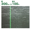 小泉製麻 防草シート ルンルンシート 黒x黒 300cm X 100m (タタミ)