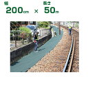 法人限定 防草シート 2m 小泉製麻 防草シート 緑化マルチフェルト Ver.5 緑 200cm X 50m グリーン 耐用10年程度 チガヤ 耐貫通性 2層構...