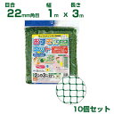 日本マタイ おすきにネット グリーン 22mm角目 1×3m 10個セット