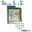 日本マタイ おすきにネット グリーン 22mm角目 2×2m 10個セット