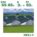 【個人宅配送OK】日本ワイドクロス 遮光ネット ワイドスクリーン BK1008 平織 ブラック 遮光率55〜65% 3m×50m 3本 (農業用 植物 畑 庭 ...