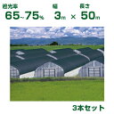【個人宅配送OK】日本ワイドクロス 遮光ネット ワイドスクリーン BK1010 平織 ブラック 遮光率65〜75% 3m×50m 3本 (農業用 植物 畑 庭 ...