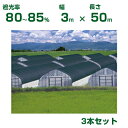 【個人宅配送OK】日本ワイドクロス 遮光ネット ワイドスクリーン BK1012 平織 ブラック 遮光率80〜85% 3m×50m 3本 (農業用 植物 畑 庭 ...