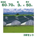 【個人宅配送OK】日本ワイドクロス 遮光ネット ワイドスクリーン BK1210 カラミ織 ブラック 遮光率60〜70% 3m×50m 3本(農業用 植物 畑 庭...