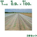 【個人宅配送OK】日本ワイドクロス 防虫ネット サンサンネット ソフライト SL2200 目合1mm目 0.9m×100m 透光率92% 3本入 (農業用 園芸用 家庭菜園 ガーデニング 農業資材 防虫網 虫除けネット トンネル 畑 ビニールハウス 野菜 網目 べたがけ 白 90cm)