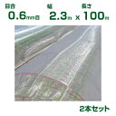 【個人宅配送OK】日本ワイドクロス 防虫ネット サンサンネット ソフライト SL3200 目合0.6mm目 2.3m×100m 透光率87% 2本入 (農業用 園芸用 家庭菜園 農業資材 防虫網 虫除けネット トンネル 畑 ビニールハウス 野菜 網目 べたがけ 白 アブラムシ アザミウマ 230cm)(4)
