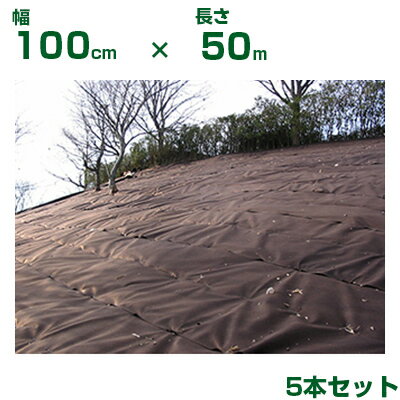 小泉製麻 防草シート 緑化ニードルマルチ 茶 100cm X 50m 5本入 植栽併用