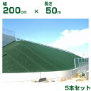 小泉製麻 防草シート 緑化マルチフェルト Ver.600 緑 200cm X 50m 5本入