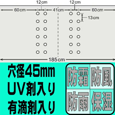個人宅配送OK シンセイ 穴あき農ポリ 4穴 ライン有 0.07mm X 185cm X 30m 農業資材 家庭菜園 トンネル 有孔 換気 風よけ 霜よけ 保温 2