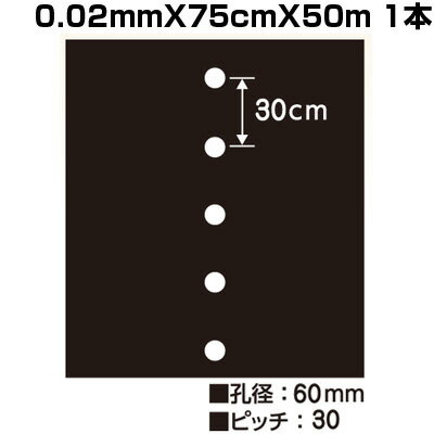 シンセイ ホールマルチ 黒マルチ 7130 0.02mm X 75cm X 50m 穴あきマルチ 1列 農業資材 家庭菜園 マルチング マルチシート